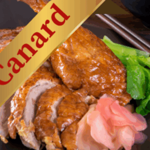 Canard